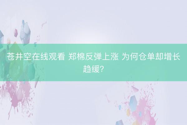 苍井空在线观看 郑棉反弹上涨 为何仓单却增长趋缓？