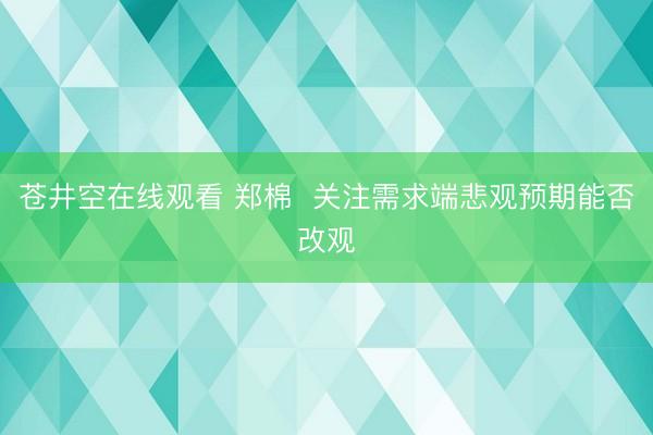 苍井空在线观看 郑棉  关注需求端悲观预期能否改观