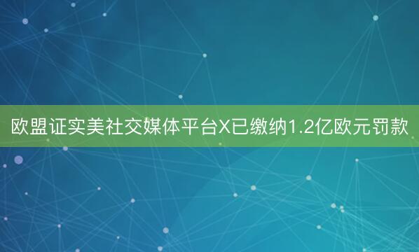 欧盟证实美社交媒体平台X已缴纳1.2亿欧元罚款