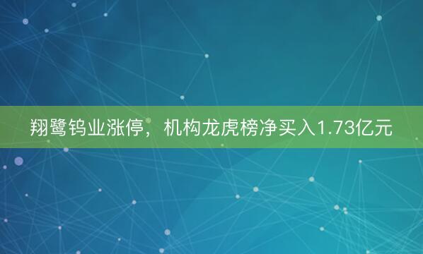 翔鹭钨业涨停，机构龙虎榜净买入1.73亿元
