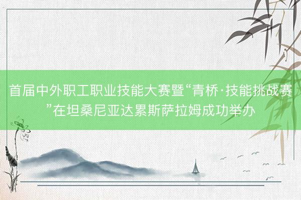 首届中外职工职业技能大赛暨“青桥·技能挑战赛”在坦桑尼亚达累斯萨拉姆成功举办