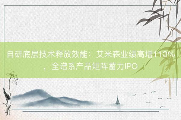 自研底层技术释放效能：艾米森业绩高增113%，全谱系产品矩阵蓄力IPO