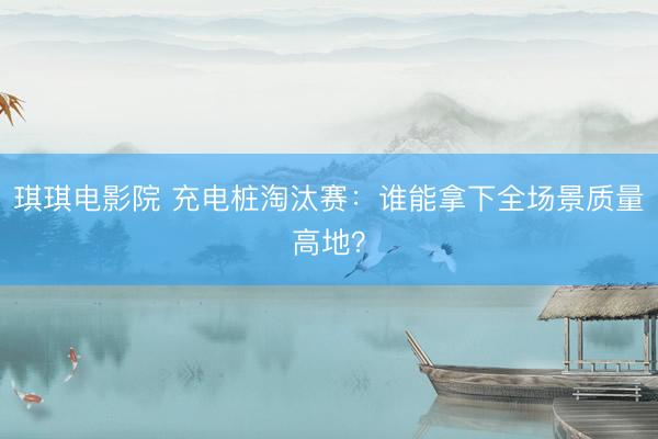 琪琪电影院 充电桩淘汰赛：谁能拿下全场景质量高地？