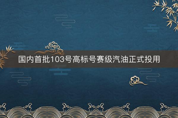 国内首批103号高标号赛级汽油正式投用