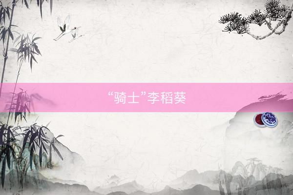 “骑士”李稻葵