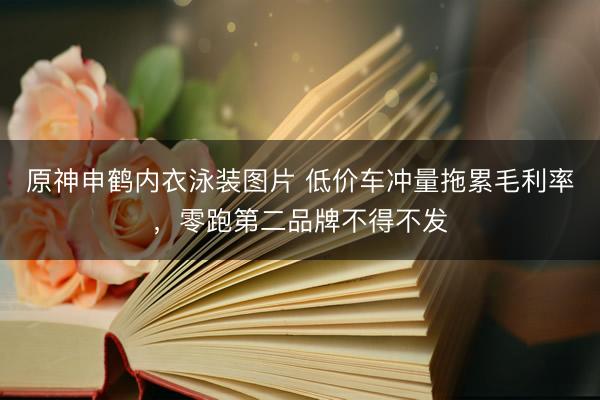原神申鹤内衣泳装图片 低价车冲量拖累毛利率，零跑第二品牌不得不发