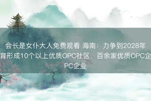 会长是女仆大人免费观看 海南：力争到2028年培育形成10个以上优质OPC社区、百余家优质OPC企业