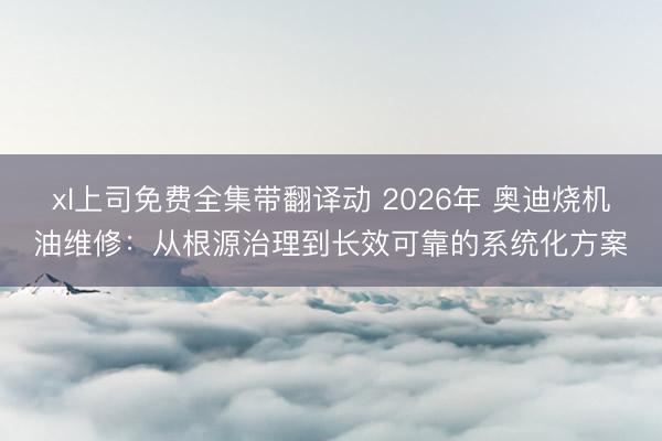xl上司免费全集带翻译动 2026年 奥迪烧机油维修：从根源治理到长效可靠的系统化方案