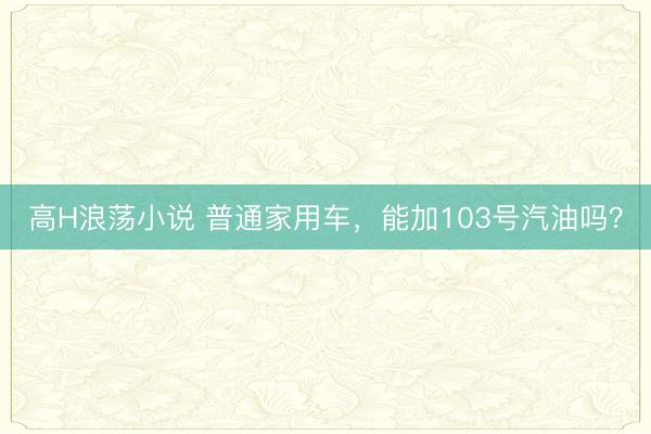 高H浪荡小说 普通家用车,能加103号汽油吗?