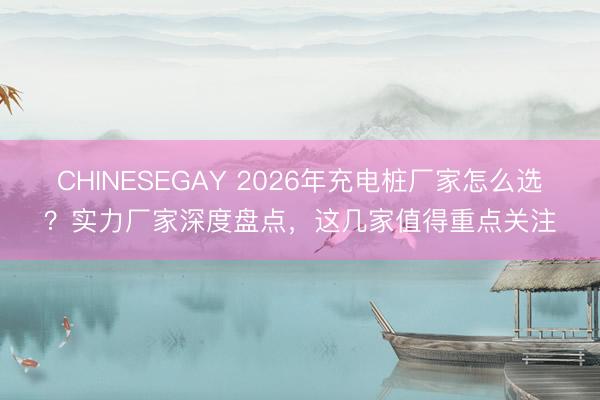 CHINESEGAY 2026年充电桩厂家怎么选？实力厂家深度盘点，<a href=