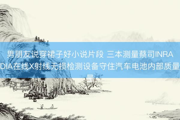 男朋友说穿裙子好小说片段 三本测量蔡司INRADIA在线X射线无损检测设备守住汽车电池内部质量