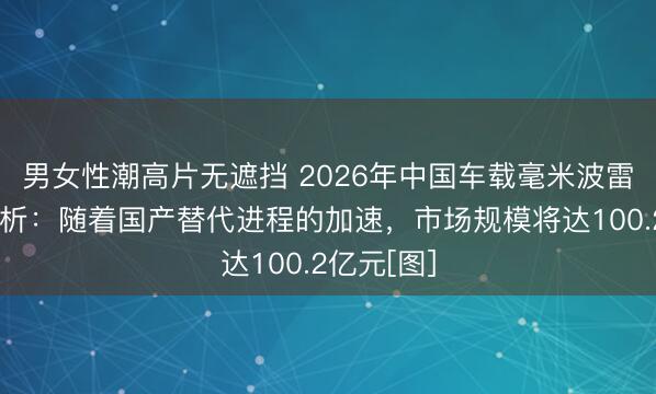 男女性潮高片无遮挡 2026年中国车载毫米波雷达供需分析：随着国产替代进程的加速，市场规模将达100.2亿元[图]