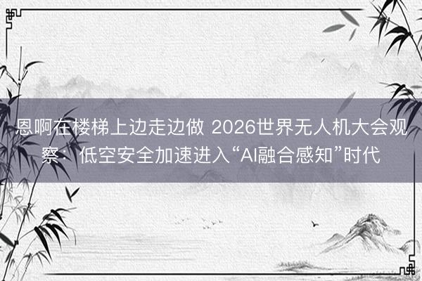 恩啊在楼梯上边走边做 2026世界无人机大会观察：低空安全加速进入“AI融合感知”时代