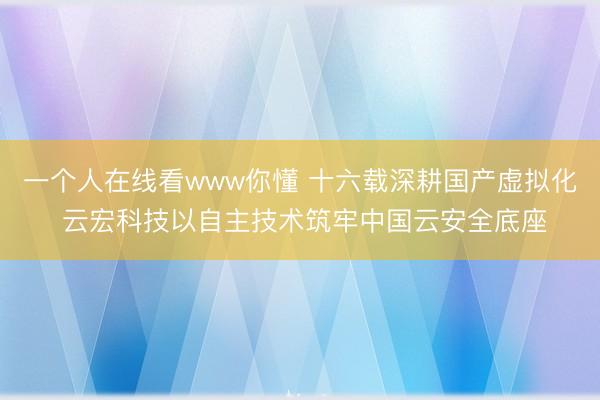 一个人在线看www你懂 十六载深耕国产虚拟化 云宏科技以自主技术筑牢中国云安全底座