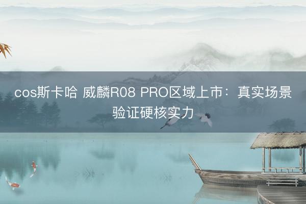 cos斯卡哈 威麟R08 PRO区域上市：真实场景验证硬核实力