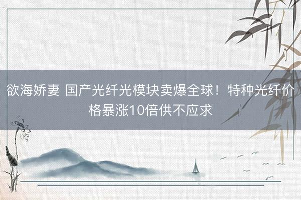欲海娇妻 国产光纤光模块卖爆全球!特种光纤价格暴涨10倍供不应求