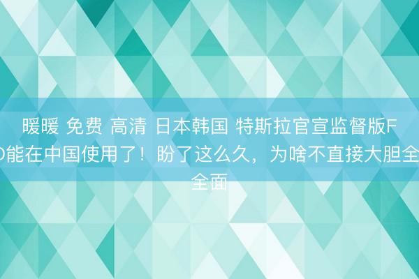 暖暖 免费 高清 日本韩国 特斯拉官宣监督版FSD能在中国使用了！盼了这么久，为啥不直接大胆全面