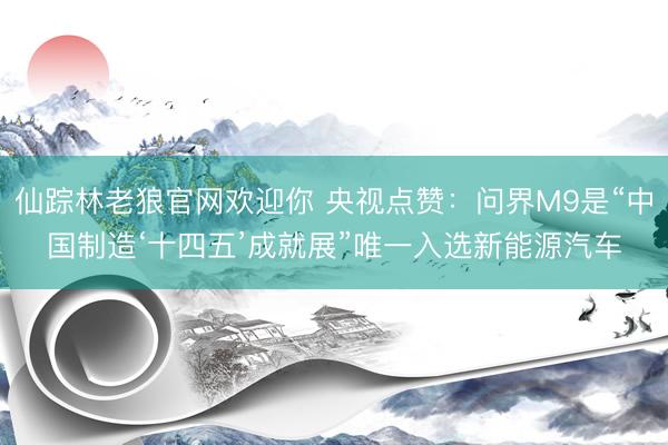 仙踪林老狼官网欢迎你 央视点赞:问界M9是“中国制造‘十四五’成就展”唯一入选新能源汽车