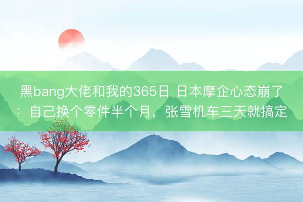 黑bang大佬和我的365日 日本摩企心态崩了：自己换个零件半个月，张雪机车三天就搞定