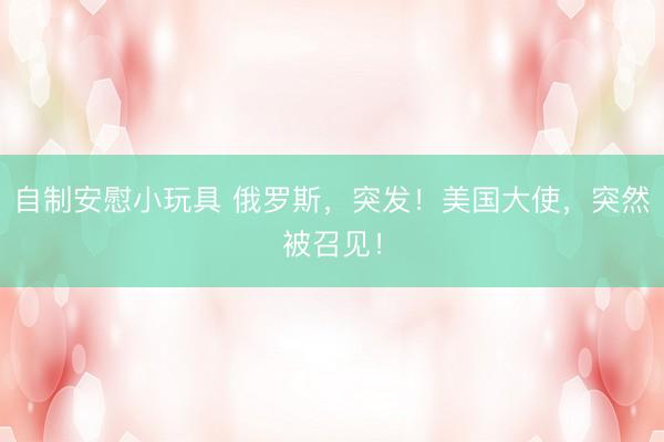自制安慰小玩具 俄罗斯,突发!美国大使,突然被召见!