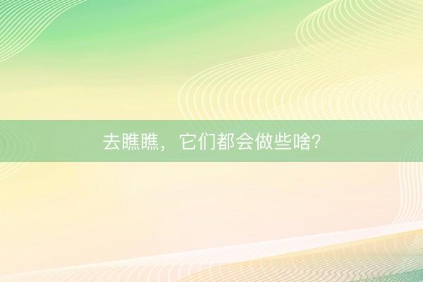 去瞧瞧，它们都会做些啥？