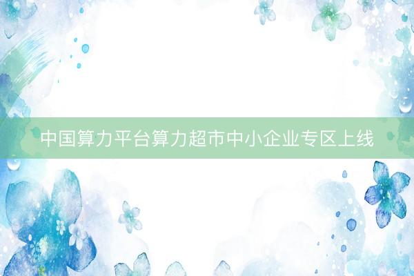 中国算力平台算力超市中小企业专区上线