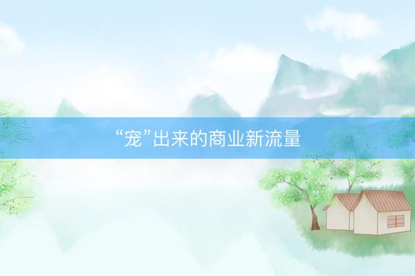 “宠”出来的商业新流量