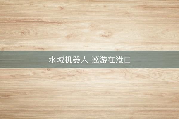 水域机器人 巡游在港口