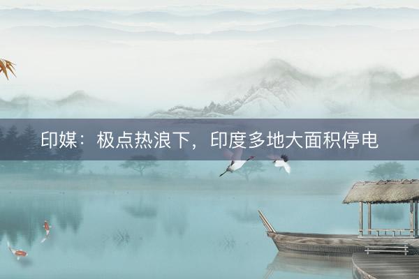印媒：极点热浪下，印度多地大面积停电