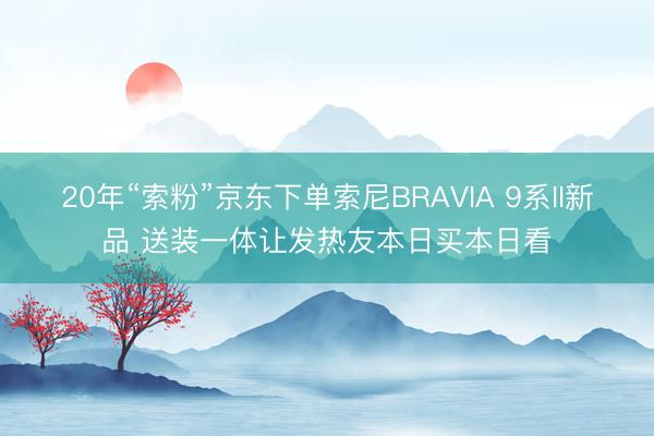 20年“索粉”京东下单索尼BRAVIA 9系II新品 送装一体让发热友本日买本日看