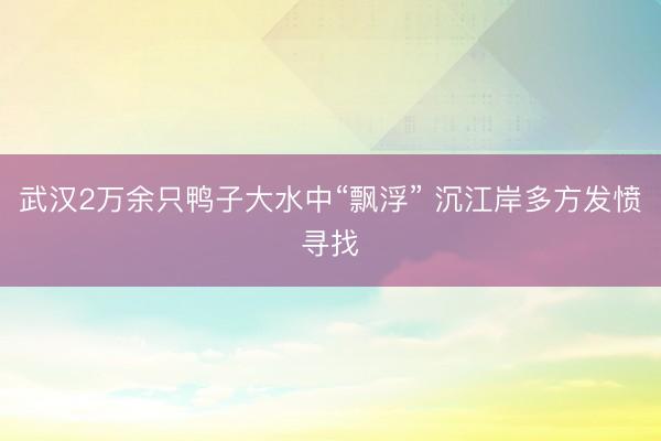 武汉2万余只鸭子大水中“飘浮” 沉江岸多方发愤寻找