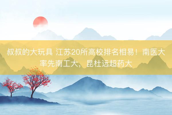 叔叔的大玩具 江苏20所高校排名相易！南医大率先南工大，昆杜远超药大