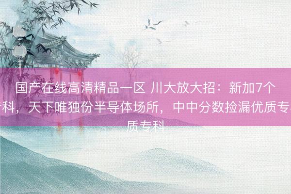 国产在线高清精品一区 川大放大招：新加7个专科，天下唯独份半导体场所，中中分数捡漏优质专科