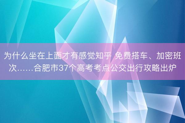 为什么坐在上面才有感觉知乎 免费搭车、加密班次……合肥市37个高考考点公交出行攻略出炉