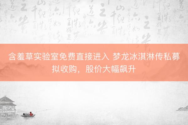 含羞草实验室免费直接进入 梦龙冰淇淋传私募拟收购，股价大幅飙升