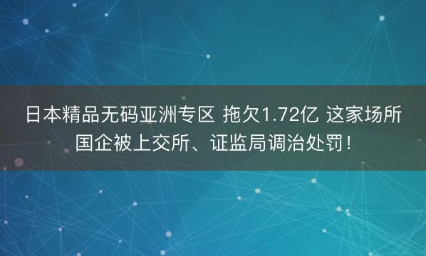 日本精品无码亚洲专区 拖欠1.72亿 这家场所国企被上交所、证监局调治处罚!