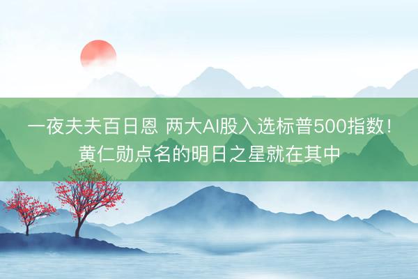 一夜夫夫百日恩 两大AI股入选标普500指数！黄仁勋点名的明日之星就在其中