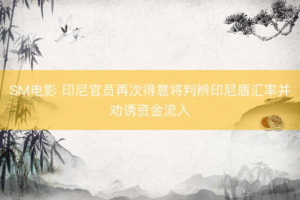 SM电影 印尼官员再次得意将判辨印尼盾汇率并劝诱资金流入