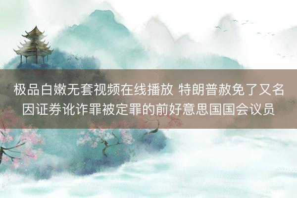 极品白嫩无套视频在线播放 特朗普赦免了又名因证券讹诈罪被定罪的前好意思国国会议员