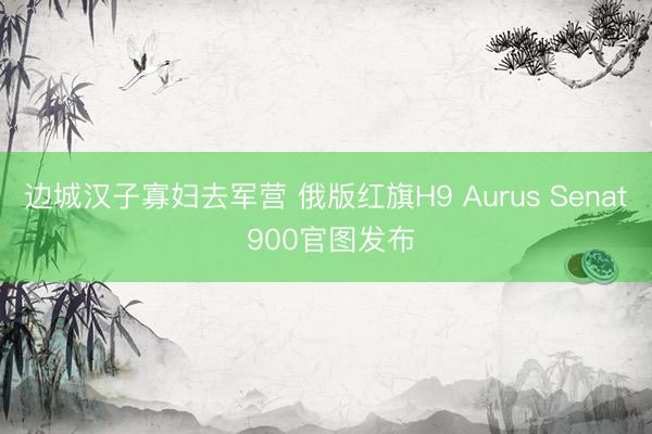 边城汉子寡妇去军营 俄版红旗H9 Aurus Senat 900官图发布