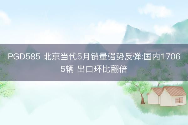 PGD585 北京当代5月销量强势反弹:国内17065辆 出口环比翻倍