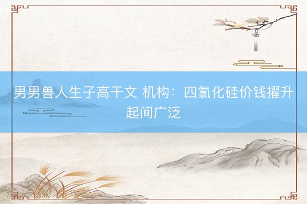 男男兽人生子高干文 机构：四氯化硅价钱擢升起间广泛
