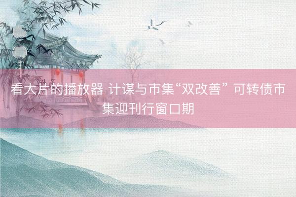 看大片的播放器 计谋与市集“双改善” 可转债市集迎刊行窗口期