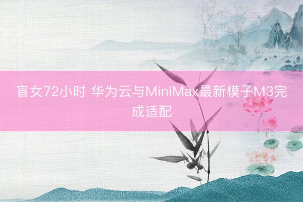 盲女72小时 华为云与MiniMax最新模子M3完成适配