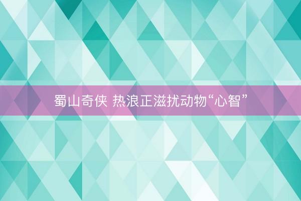 蜀山奇侠 热浪正滋扰动物“心智”
