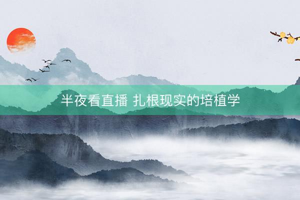 半夜看直播 扎根现实的培植学