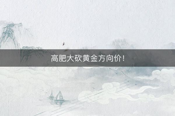 高肥大砍黄金方向价！