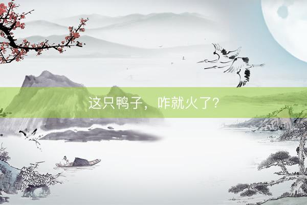 这只鸭子,咋就火了?
