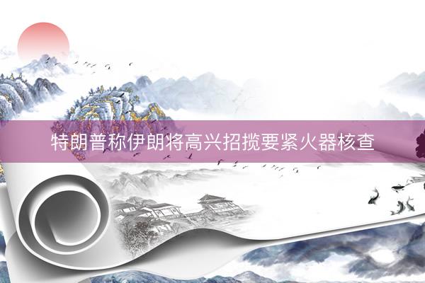 特朗普称伊朗将高兴招揽要紧火器核查