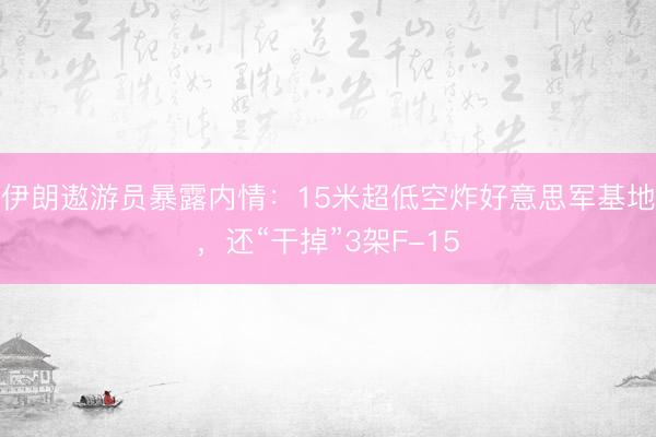 伊朗遨游员暴露内情：15米超低空炸好意思军基地，还“干掉”3架F-15